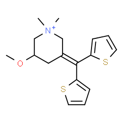 timepidium structure