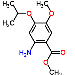 50413-53-1 structure