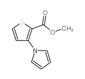 METHYL 3-(1H-PYRROL-1-YL)THIOPHENE-2-CARBOXYLATE Structure