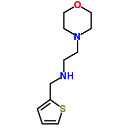 2-Morpholino-N-(thiophen-2-ylmethyl)ethan-1-amine structure