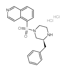 936233-03-3 structure