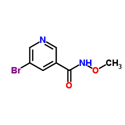 5-Bromo-N-methoxypyridine-3-carboxamide picture