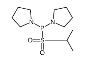 propan-2-ylsulfonyl(dipyrrolidin-1-yl)phosphane结构式