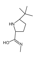 (2S)-5-tert-butyl-N-methylpyrrolidine-2-carboxamide Structure