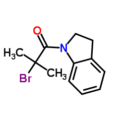 2-Bromo-1-(2,3-dihydro-1H-indol-1-yl)-2-methyl-1-propanone picture