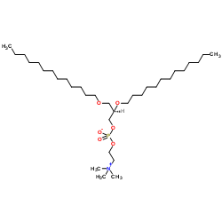 1,2-di-O-tridecyl-sn-glycero-3-phosphocholine Structure