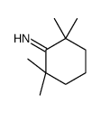 2,2,6,6-tetramethylcyclohexan-1-imine结构式