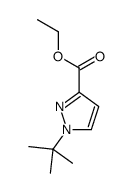 1-叔丁基-1H -吡唑- 3 -羧酸乙酯图片