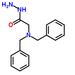 2-(Dibenzylamino)acetohydrazide picture