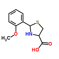 2-(2-甲氧基苯基)噻唑烷-4-羧酸图片