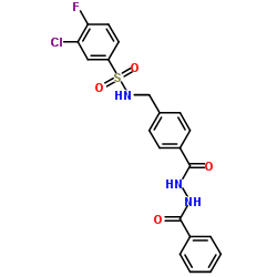 TCN 201 structure