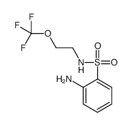 2-amino-N-[2-(trifluoromethoxy)ethyl]benzenesulfonamide Structure