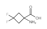 1-氨基-3,3-二氟环丁烷-1-羧酸结构式