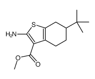 2-AMINO-6-TERT-BUTYL-4,5,6,7-TETRAHYDRO-BENZO[B]THIOPHENE-3-CARBOXYLIC ACID METHYL ESTER Structure