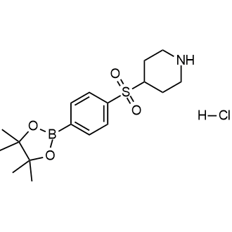 4-[4-(4,4,5,5-四甲基-[1,3,2]二氧杂硼环戊烷-2-基)-苯磺酰基]哌啶盐酸盐结构式