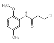 3-Chloro-N-(2-methoxy-5-methylphenyl)propanamide图片