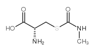 S-(N-methylcarbamoyl)cysteine structure