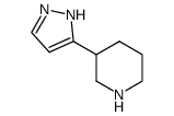 Piperidine, 3-(1H-pyrazol-3-yl)- (9CI) structure