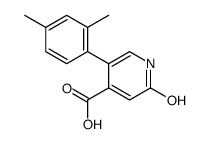 5-(2,4-dimethylphenyl)-2-oxo-1H-pyridine-4-carboxylic acid Structure