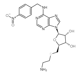 SAENTA Structure