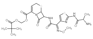 Ceftizoxime alapivoxil structure