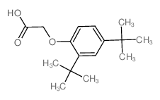 3-(CHLOROSULFONYL)BENZOICACID Structure