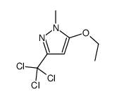 3-(TRICHLOROMETHYL)-5-ETHOXY-1-METHYL-1H-PYRAZOLE结构式