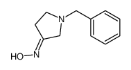 N-(1-benzylpyrrolidin-3-ylidene)hydroxylamine结构式