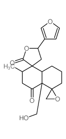 Gnaphalin (terpene) picture