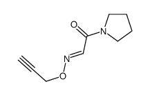 2-prop-2-ynoxyimino-1-pyrrolidin-1-ylethanone Structure