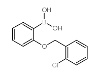 2-(2'-CHLOROBENZYLOXY)PHENYLBORONIC ACID structure