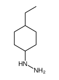 (4-Ethylcyclohexyl)hydrazine Structure