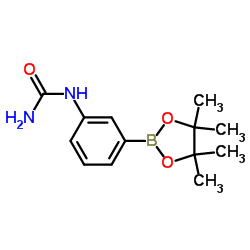 N-[3-(4,4,5,5-四甲基-1,3,2-二氧杂硼烷-2-基)苯基]脲图片