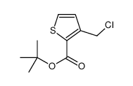 tert-butyl 3-(chloromethyl)thiophene-2-carboxylate Structure