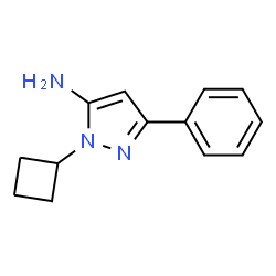 1-Cyclobutyl-3-phenyl-1H-pyrazol-5-amine picture