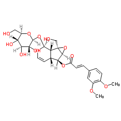 6-O-(3'',4''-二甲氧基肉桂酰)梓醇结构式