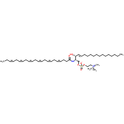 N-Docosahexaenoic Sphingomyelin picture