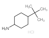 (1s,4s)-4-(叔-丁基)环己胺盐酸图片