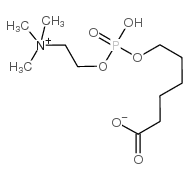 6-(O-磷酸胆碱)羟基己酸图片