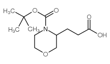 3-(2-羧基乙基)-吗啉-4-羧酸叔丁酯结构式