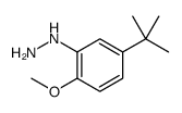 Hydrazine, [5-(1,1-dimethylethyl)-2-methoxyphenyl] Structure