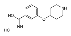 3-piperidin-4-yloxybenzamide,hydrochloride structure