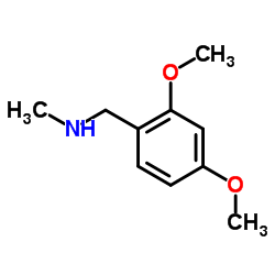 N-(2,4-Dimethoxybenzyl)-N-methylamine structure