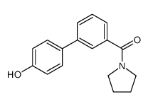 4-(3-Pyrrolidinylcarbonylphenyl)phenol结构式