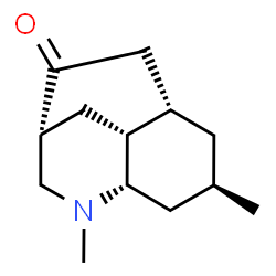 Luciduline Structure