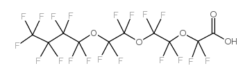 PERFLUORO-3,6,9-TRIOXATRIDECANOIC ACID picture