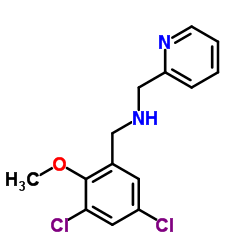 1-(3,5-DICHLORO-2-METHOXYPHENYL)-N-(PYRIDIN-2-YLMETHYL)METHANAMINE结构式