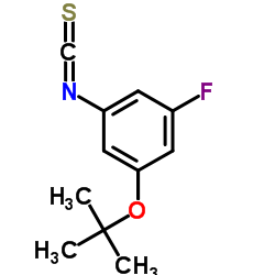 1-tert-butoxy-3-fluoro-5-isothiocyanatobenzene结构式