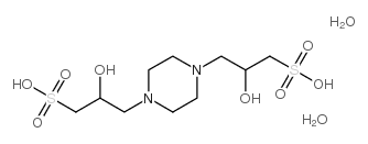 918131-36-9 structure