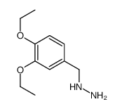 (3,4-diethoxyphenyl)methylhydrazine结构式